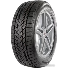 Автомобильные шины Centara Vanti Winter 215/70R16 100H