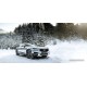 Grenlander Icehawke I 155/65R13 73T