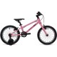 Welt Teddy 16 2025 (milky pink)
