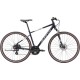 Avanti X-Plorer 1 L 2025