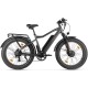 Eltreco BigCat Dual Next PRO (черный)