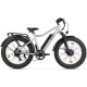 Eltreco BigCat Dual Next (серый)