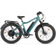Eltreco BigCat Next (бирюзовый)