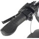 Eltreco BigCat Next (бирюзовый)