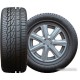 Kapsen IceMax RW505 225/55R17 101V XL