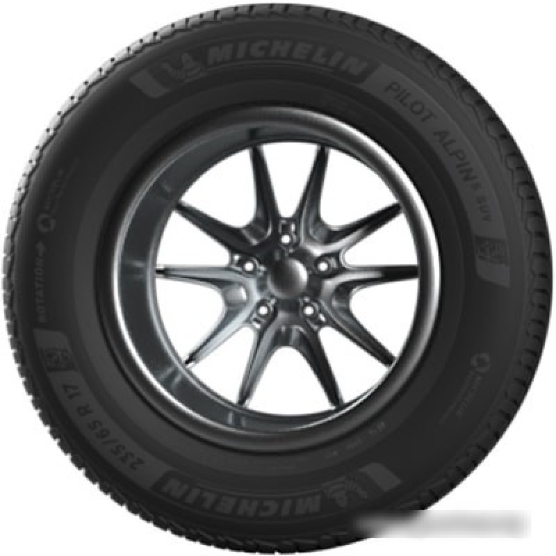 Michelin Pilot Alpin 5 SUV 265/55R19 113H