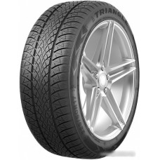 Зимние шины Triangle TW401 195/55R16 91H