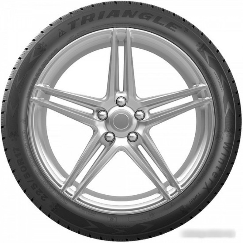 Triangle TW401 195/55R16 91H
