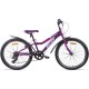 AIST Rosy Junior 1.0 2025 (фиолетовый)
