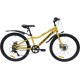 Favorit Sirius 24MDS р.12 2026 (желтый)