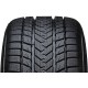 Gripmax SureGrip Pro Winter 255/45R20 105V