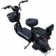 Smart8 Bulbash Ant
