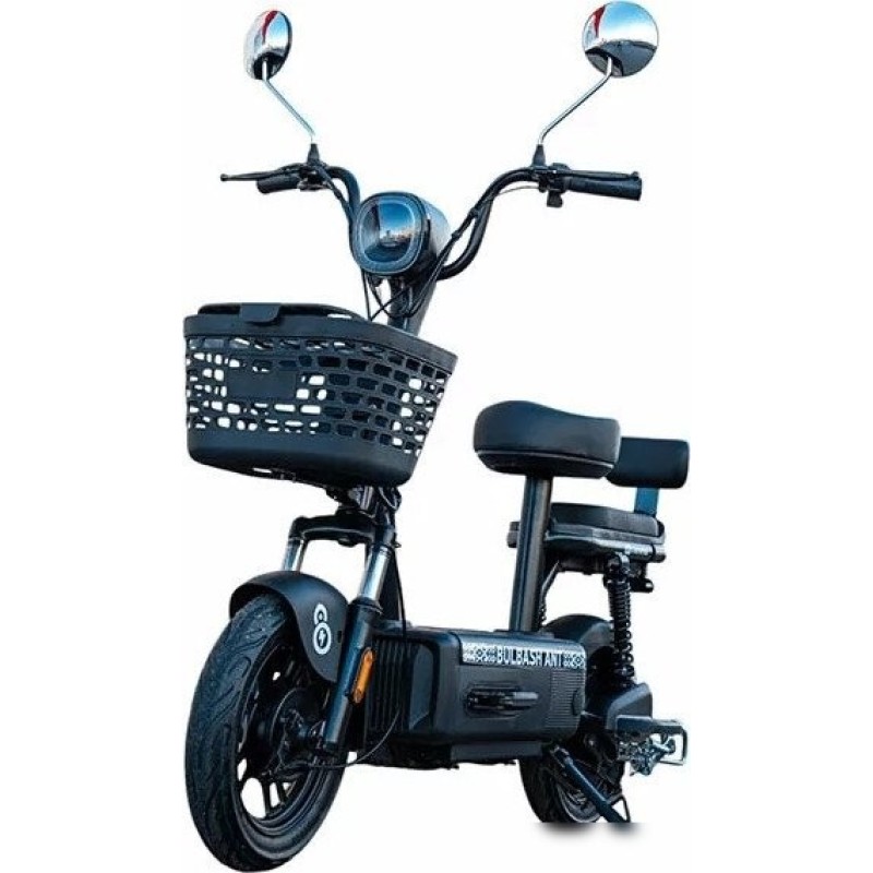 Smart8 Bulbash Ant