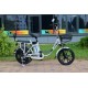 Terax ROXY NS010