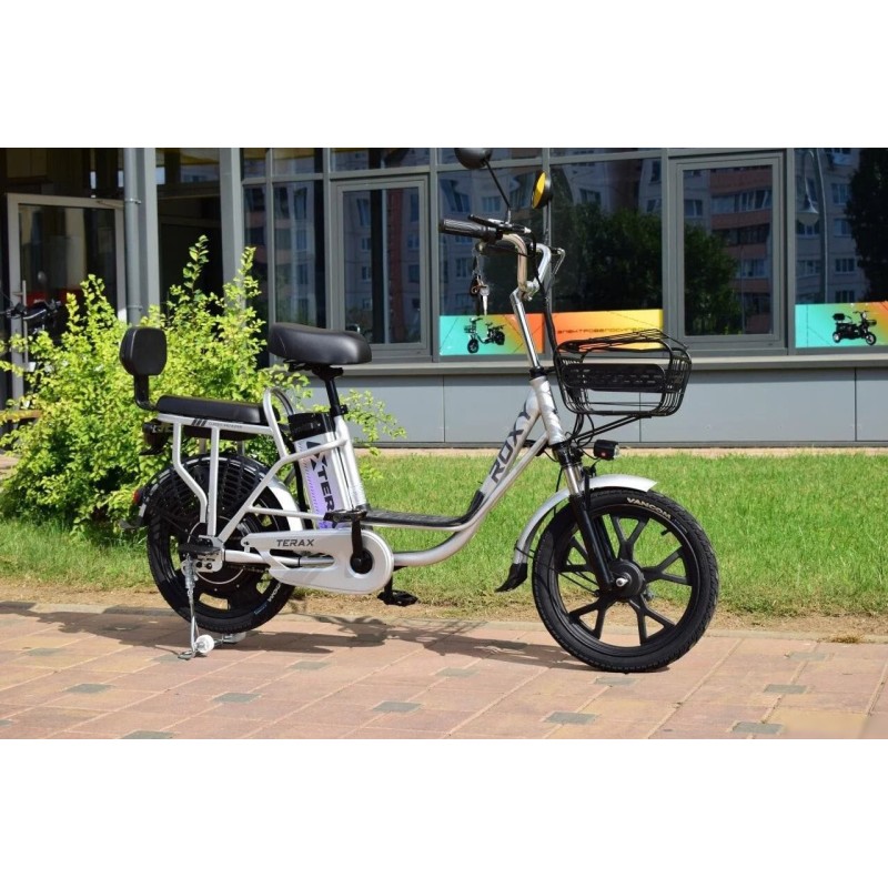 Terax ROXY NS010
