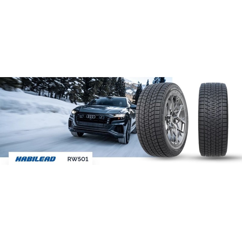 Habilead IceMax RW501 225/55R17 101H XL