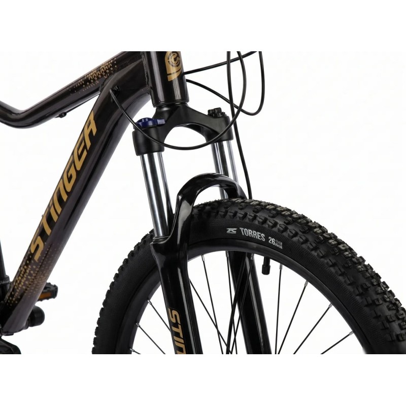 Stinger Laguna 29 L 2026 (фиолетовый)