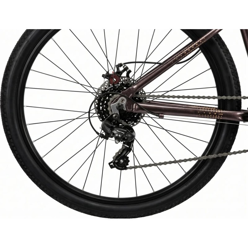 Stinger Laguna 29 L 2026 (фиолетовый)