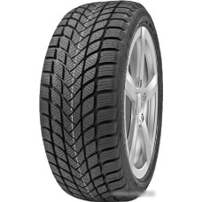 Автомобильные шины Delinte Winter WD6 245/45R18 100V